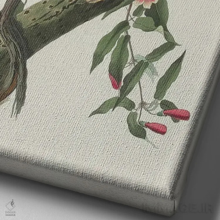 تابلو 1831,دارکوب نرمپر ۱۸۳۱ اثر جان جیمز آدوبون (نقاش و پرندهشناس) - نمای نزدیک بافت بوم