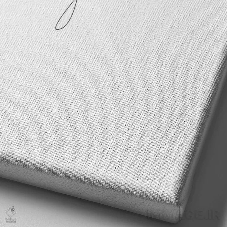 تابلو برگ مانسترا (گیاه آپارتمانی) اثر ادیلوم - نمای نزدیک بافت بوم