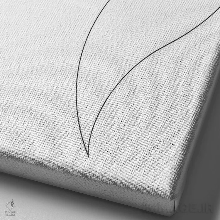 تابلو بردر کولی ۲ (نژاد سگ) اثر ادیلوم - نمای نزدیک بافت بوم