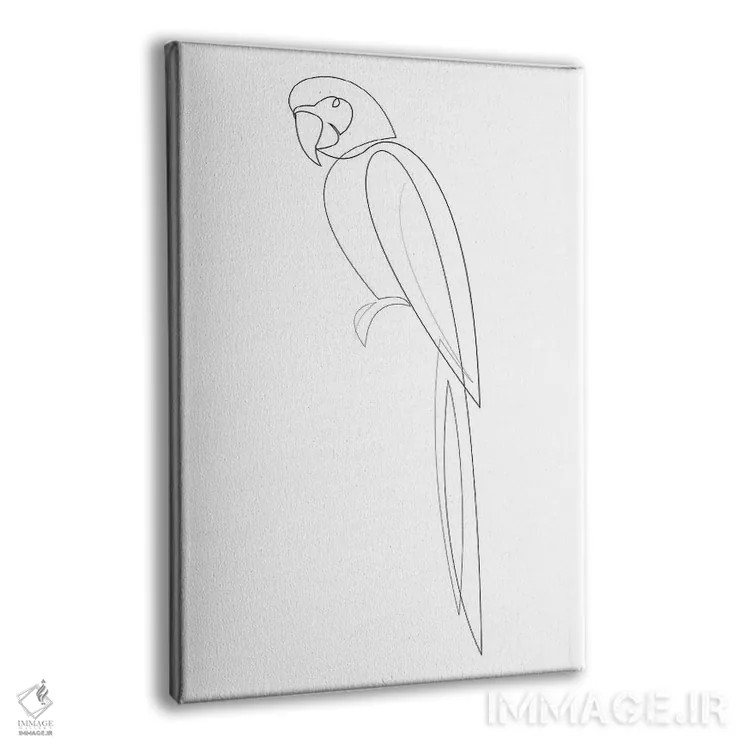 تابلو ماکائو تکخطی (نوع طوطی) اثر ادیلوم - نمای پرسپکتیو محصول
