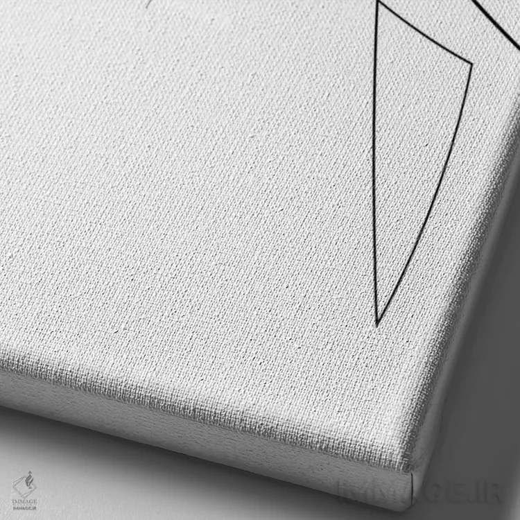 تابلو مرغ ماهیخوار اثر ادیلوم - نمای نزدیک بافت بوم