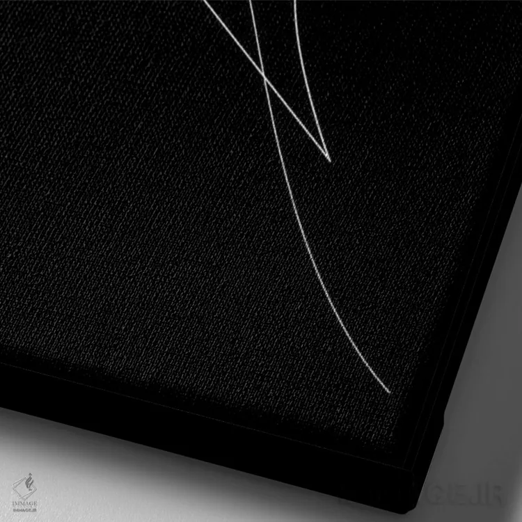 تابلو چهرهٔ خطی اثر ادیلوم - نمای نزدیک بافت بوم