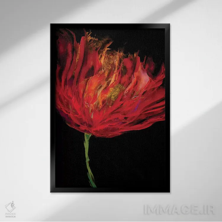 تابلو لالههای قرمز I اثر ونسا آستین - نمای قابدار مشکی