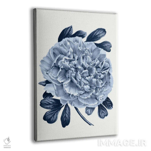 تابلو گیاهشناسی آبی قدیمی V اثر امیلی وینتیج کو (برند/استودیو) - نمای پرسپکتیو محصول