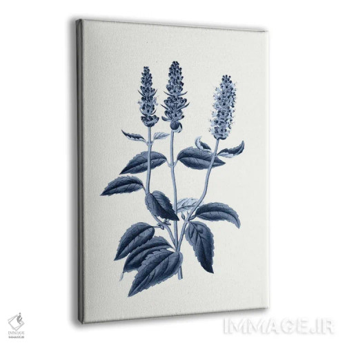 تابلو گیاهشناسی آبی قدیمی VI اثر امیلی وینتیج کو (برند/استودیو) - نمای پرسپکتیو محصول