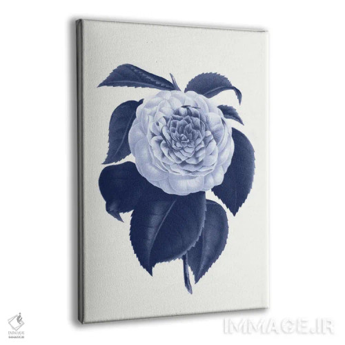 تابلو گیاهشناسی آبی قدیمی IX اثر امیلی وینتیج کو (برند/استودیو) - نمای پرسپکتیو محصول