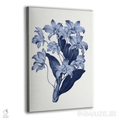 تابلو گیاهشناسی آبی قدیمی XI اثر امیلی وینتیج کو (برند/استودیو) - نمای پرسپکتیو محصول