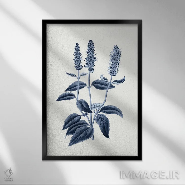 تابلو گیاهشناسی آبی قدیمی VI اثر امیلی وینتیج کو (برند/استودیو) - نمای قابدار مشکی