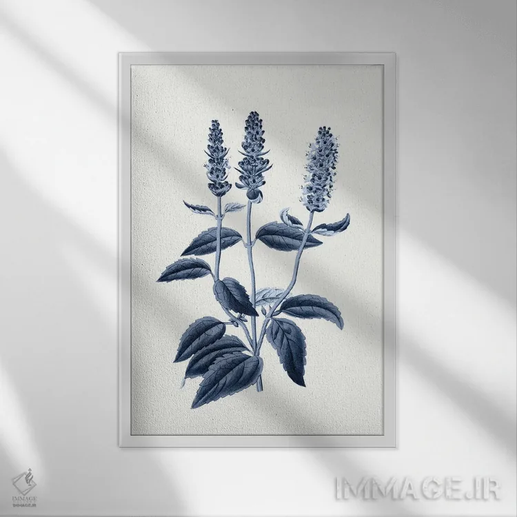 تابلو گیاهشناسی آبی قدیمی VI اثر امیلی وینتیج کو (برند/استودیو) - نمای قابدار سفید