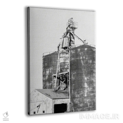 تابلو سیلوها اثر امیلی وینتیج کو (برند/استودیو) - نمای پرسپکتیو محصول