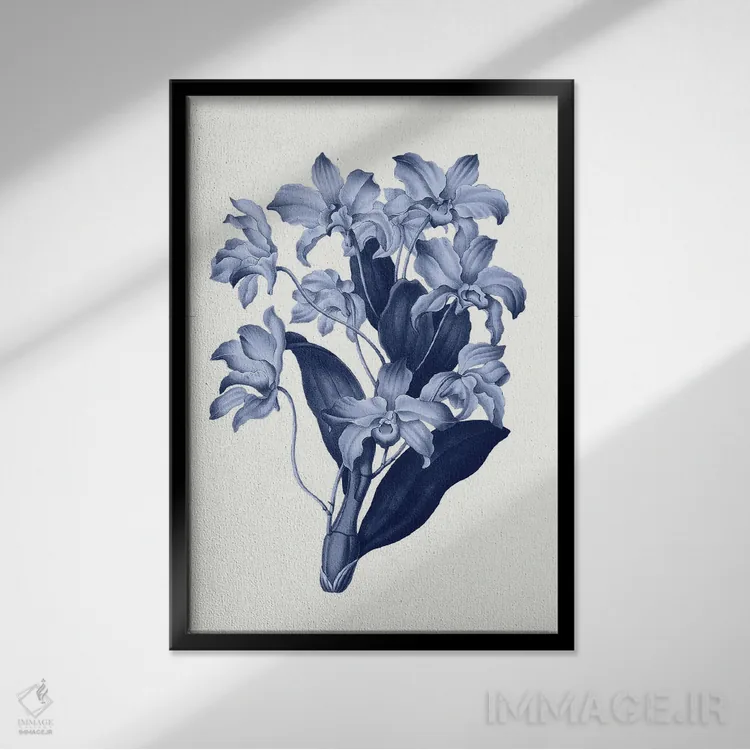 تابلو گیاهشناسی آبی قدیمی XI اثر امیلی وینتیج کو (برند/استودیو) - نمای قابدار مشکی
