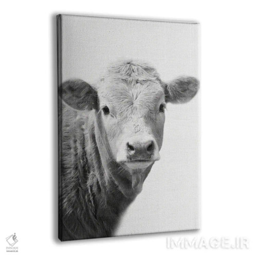 تابلو گاو II اثر امیلی وینتیج کو (برند/استودیو) - نمای پرسپکتیو محصول