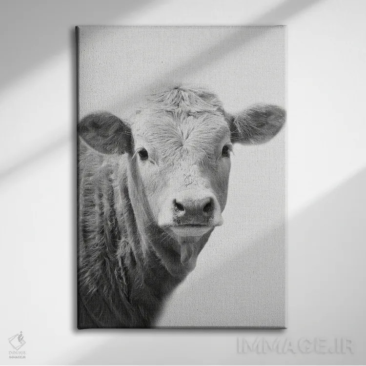 تابلو گاو II اثر امیلی وینتیج کو (برند/استودیو) - نمای روبهرو روی دیوار