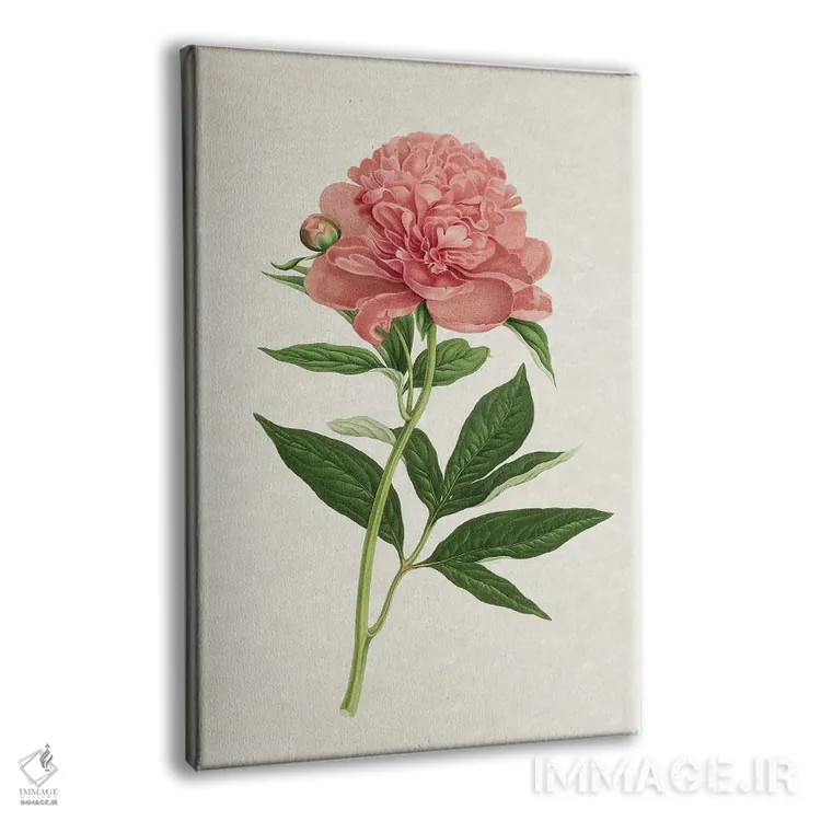 تابلو رز کلاسیک اثر امیلی وینتیج کو (برند/استودیو) - نمای پرسپکتیو محصول