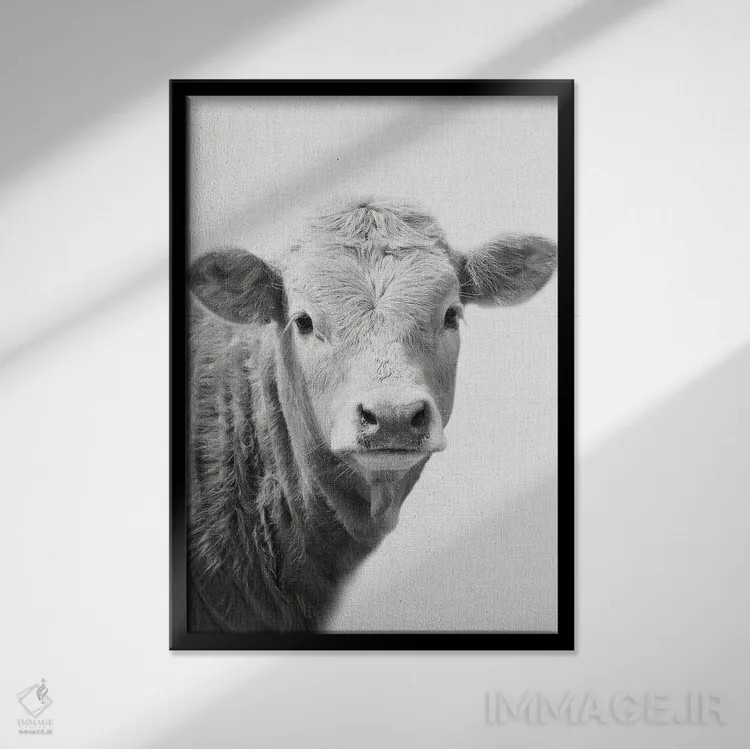 تابلو گاو II اثر امیلی وینتیج کو (برند/استودیو) - نمای قابدار مشکی