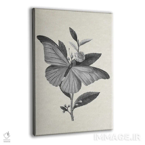 تابلو پروانه اثر امیلی وینتیج کو (برند/استودیو) - نمای پرسپکتیو محصول