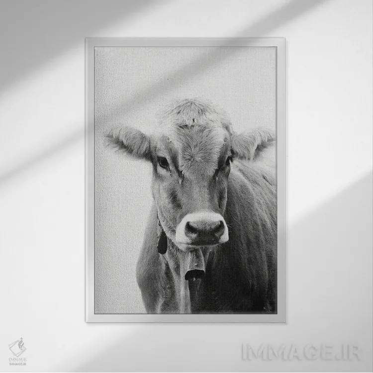 تابلو گاو I اثر امیلی وینتیج کو (برند/استودیو) - نمای قابدار سفید
