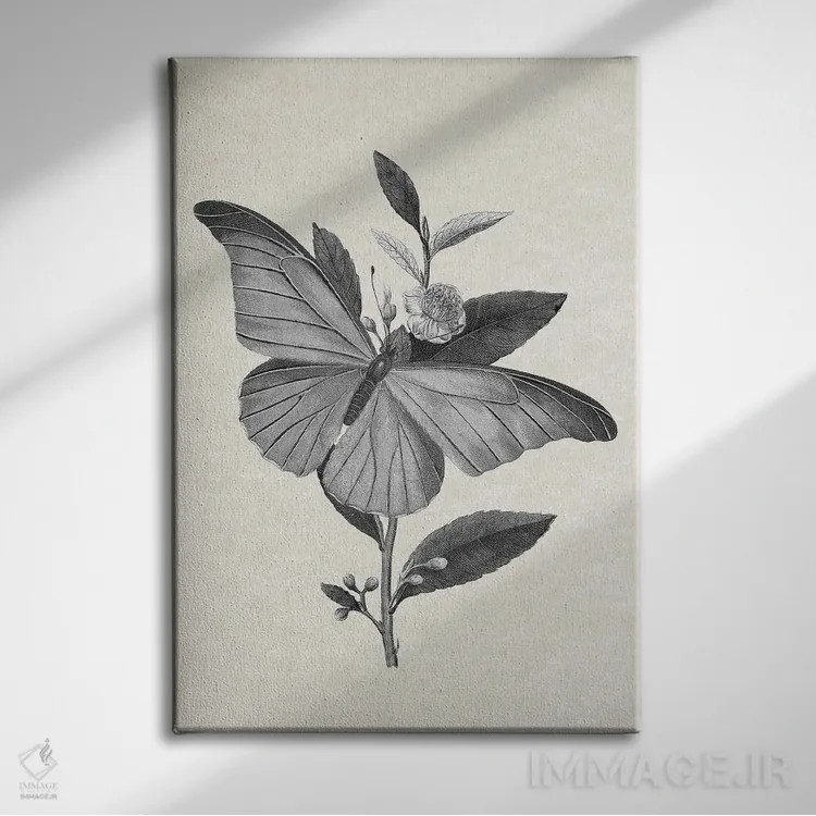تابلو پروانه اثر امیلی وینتیج کو (برند/استودیو) - نمای روبهرو روی دیوار