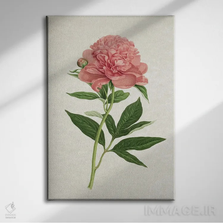 تابلو رز کلاسیک اثر امیلی وینتیج کو (برند/استودیو) - نمای روبهرو روی دیوار