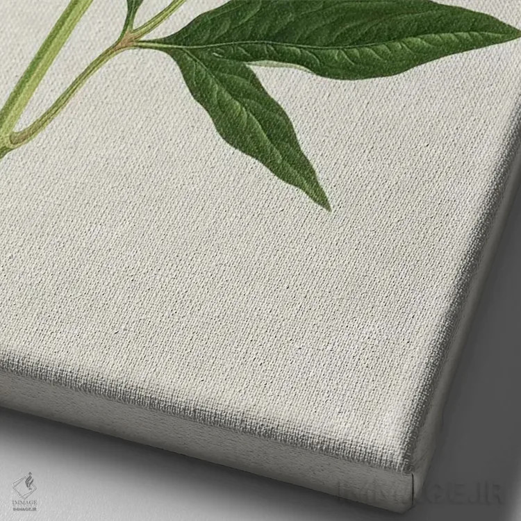 تابلو رز کلاسیک اثر امیلی وینتیج کو (برند/استودیو) - نمای نزدیک بافت بوم