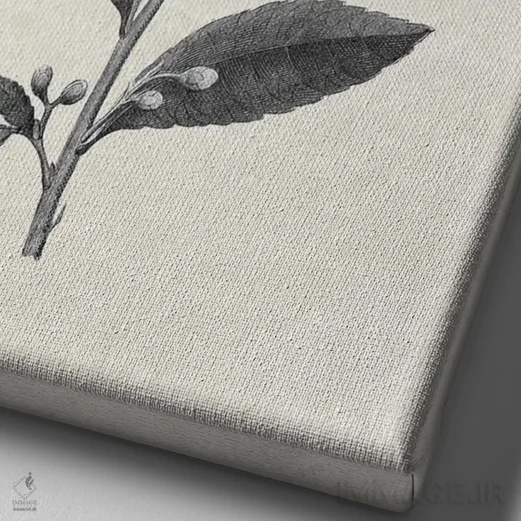 تابلو پروانه اثر امیلی وینتیج کو (برند/استودیو) - نمای نزدیک بافت بوم