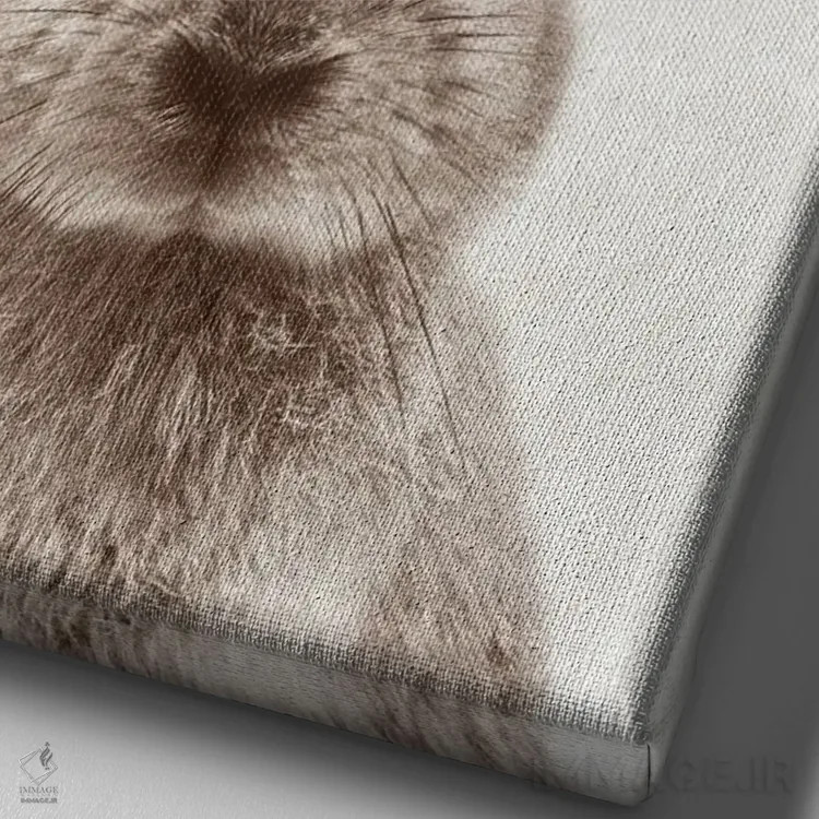 تابلو خرگوش اثر امیلی وینتیج کو (برند/استودیو) - نمای نزدیک بافت بوم