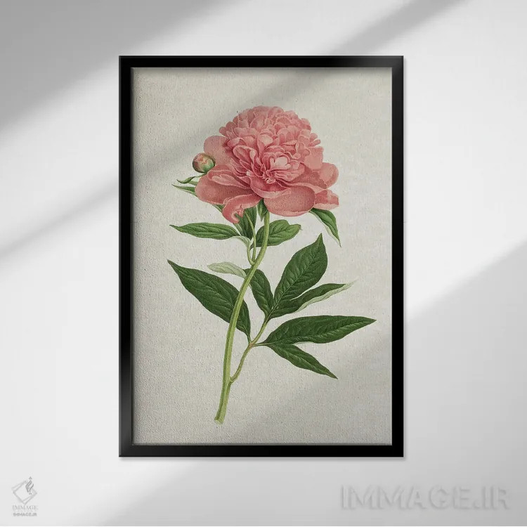 تابلو رز کلاسیک اثر امیلی وینتیج کو (برند/استودیو) - نمای قابدار مشکی