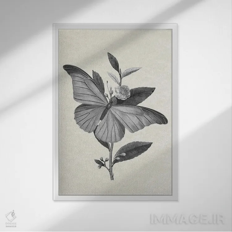 تابلو پروانه اثر امیلی وینتیج کو (برند/استودیو) - نمای قابدار سفید