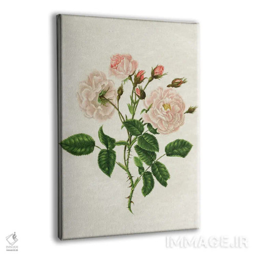تابلو رز وحشی اثر امیلی وینتیج کو (برند/استودیو) - نمای پرسپکتیو محصول