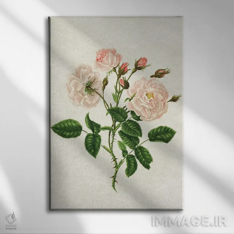 تابلو رز وحشی اثر امیلی وینتیج کو (برند/استودیو) - نمای روبهرو روی دیوار