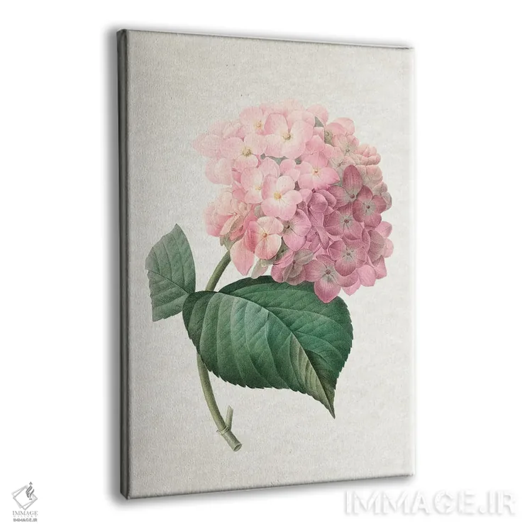 تابلو هورتانسیا (گل ادریسی) اثر امیلی وینتیج کو (برند/استودیو) - نمای پرسپکتیو محصول
