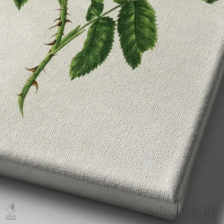 تابلو رز وحشی اثر امیلی وینتیج کو (برند/استودیو) - نمای نزدیک بافت بوم