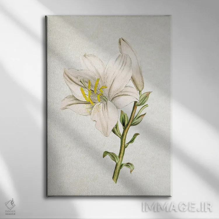 تابلو سوسن (گل) اثر امیلی وینتیج کو (برند/استودیو) - نمای روبهرو روی دیوار