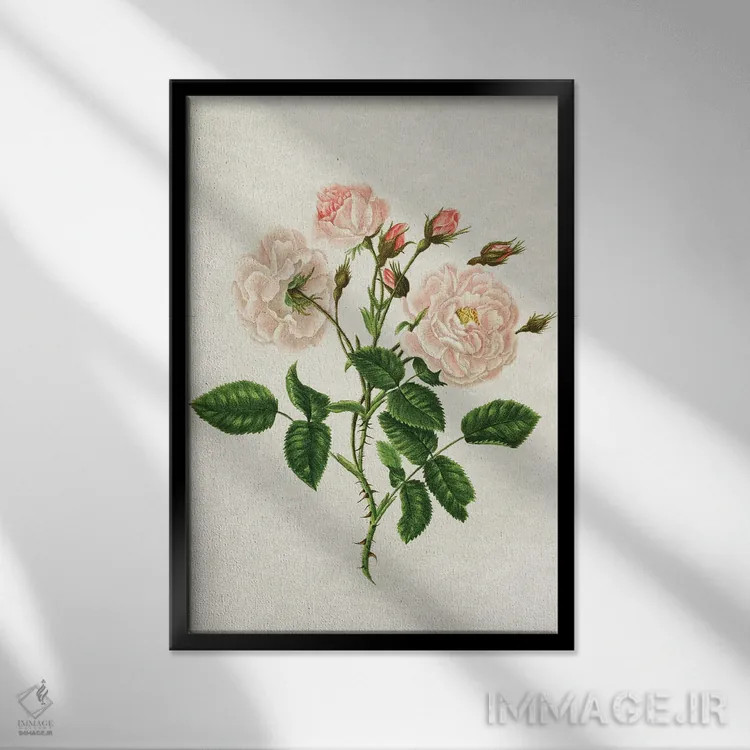 تابلو رز وحشی اثر امیلی وینتیج کو (برند/استودیو) - نمای قابدار مشکی