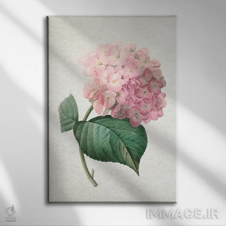 تابلو هورتانسیا (گل ادریسی) اثر امیلی وینتیج کو (برند/استودیو) - نمای روبهرو روی دیوار