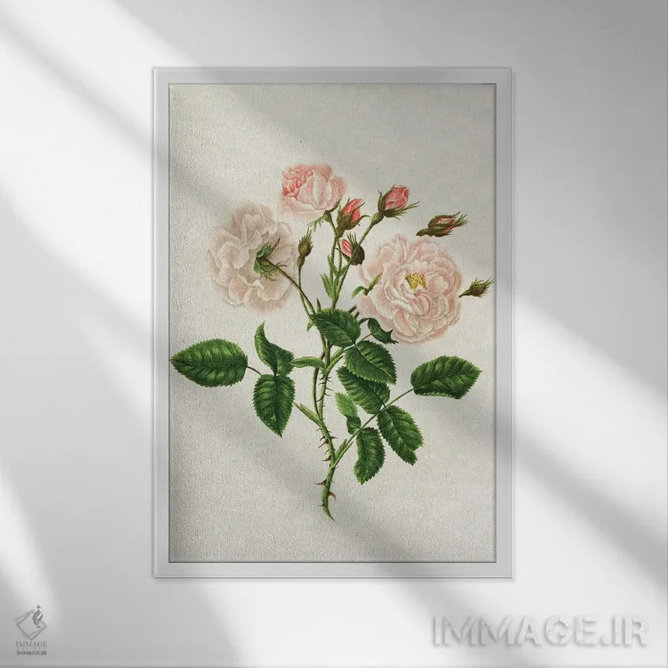 تابلو رز وحشی اثر امیلی وینتیج کو (برند/استودیو) - نمای قابدار سفید