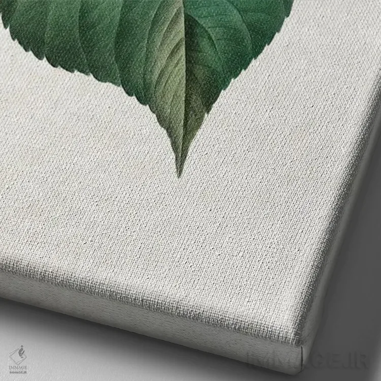 تابلو هورتانسیا (گل ادریسی) اثر امیلی وینتیج کو (برند/استودیو) - نمای نزدیک بافت بوم