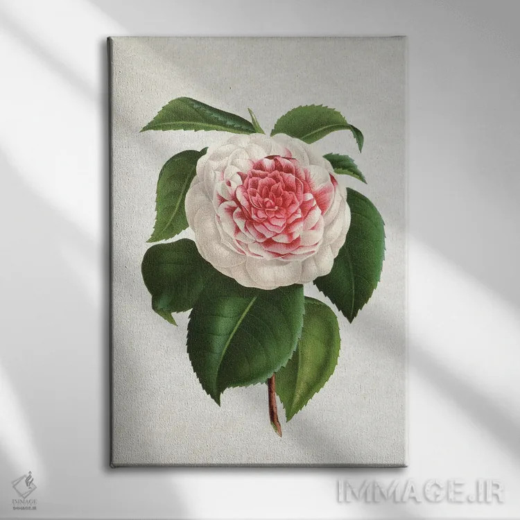 تابلو کاملیا (گل) اثر امیلی وینتیج کو (برند/استودیو) - نمای روبهرو روی دیوار