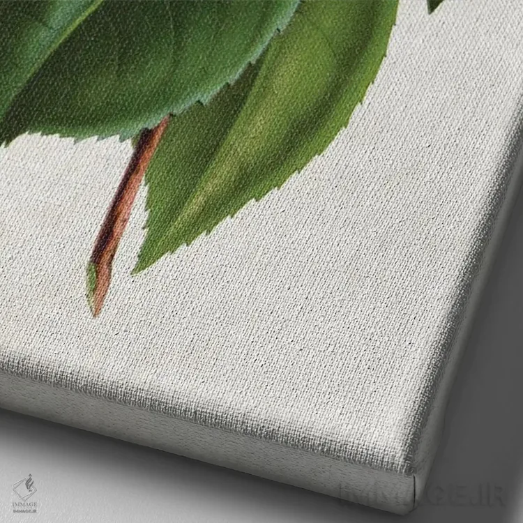 تابلو کاملیا (گل) اثر امیلی وینتیج کو (برند/استودیو) - نمای نزدیک بافت بوم