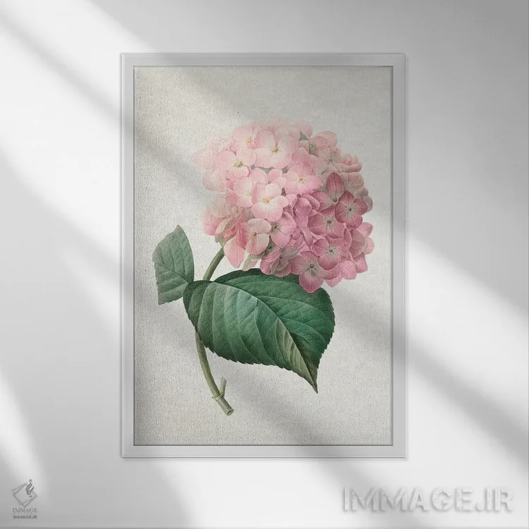 تابلو هورتانسیا (گل ادریسی) اثر امیلی وینتیج کو (برند/استودیو) - نمای قابدار سفید