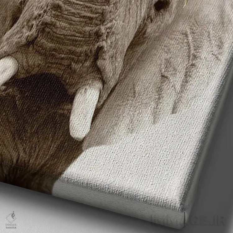 تابلو فیل گلدار اثر امیلی وینتیج کو (برند/استودیو) - نمای نزدیک بافت بوم