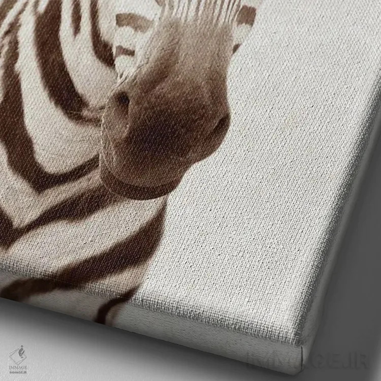 تابلو گورخر گلدار اثر امیلی وینتیج کو (برند/استودیو) - نمای نزدیک بافت بوم