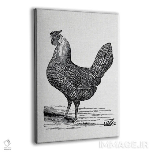تابلو مرغ قدیمی اثر امیلی وینتیج کو (برند/استودیو) - نمای پرسپکتیو محصول