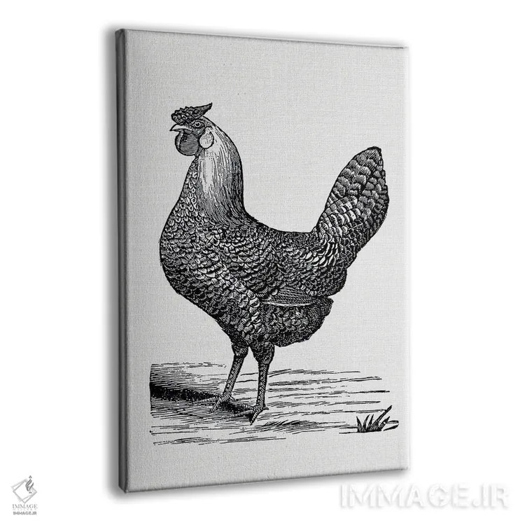 تابلو مرغ قدیمی اثر امیلی وینتیج کو (برند/استودیو) - نمای پرسپکتیو محصول