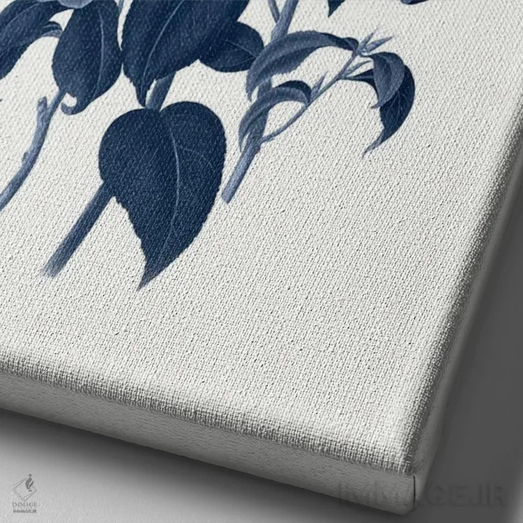 تابلو گیاهشناسی آبی قدیمی II اثر امیلی وینتیج کو (برند/استودیو) - نمای نزدیک بافت بوم