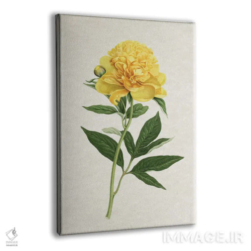 تابلو رز زرد قدیمی اثر امیلی وینتیج کو (برند/استودیو) - نمای پرسپکتیو محصول
