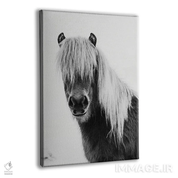 تابلو کره اسب وحشی اثر امیلی وینتیج کو (برند/استودیو) - نمای پرسپکتیو محصول