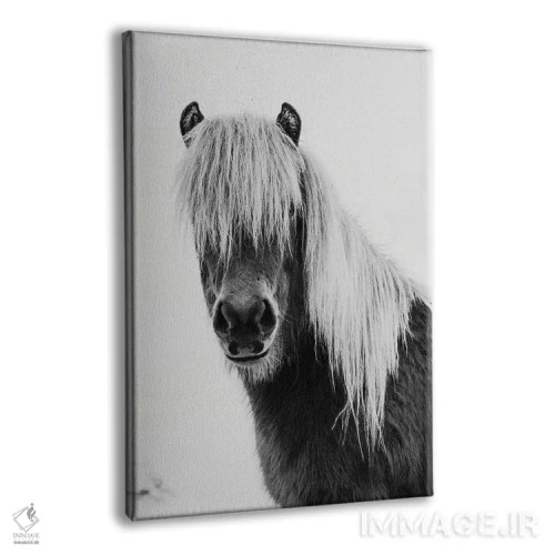 تابلو کره اسب وحشی اثر امیلی وینتیج کو (برند/استودیو) - نمای پرسپکتیو محصول
