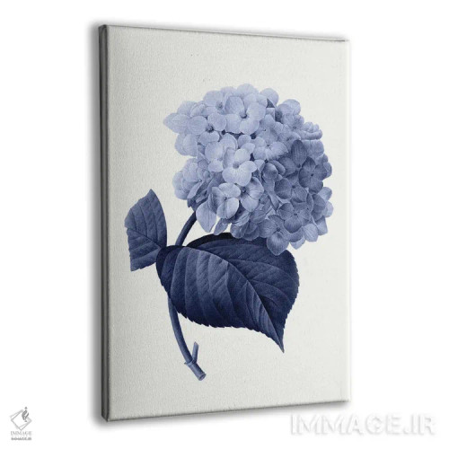 تابلو گیاهشناسی آبی قدیمی I اثر امیلی وینتیج کو (برند/استودیو) - نمای پرسپکتیو محصول