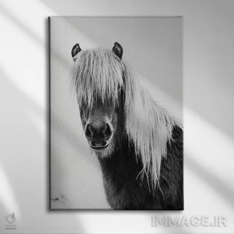 تابلو کره اسب وحشی اثر امیلی وینتیج کو (برند/استودیو) - نمای روبهرو روی دیوار